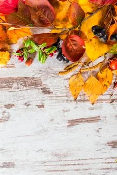 Autumn fall leaves background Stock Photos