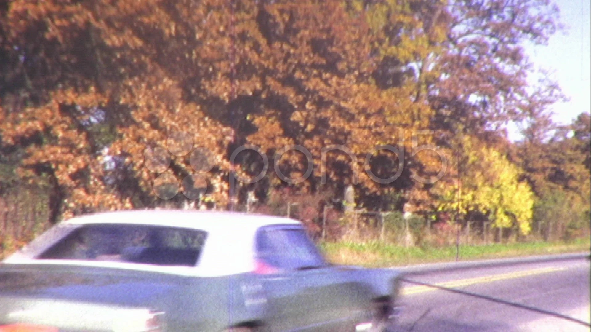 AUTUMN FALL Leaves COLOR Cars Driving Country Road Vintage Film Home Movie  8mm