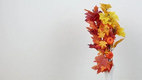 Autumn fall leaves decor in a vase, white background establisher Stock Footage 285197652