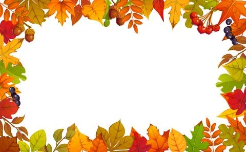 Autumn fall leaves frame with forest berries Stock Illustration