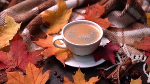 Autumn, fall leaves, hot cup of coffee and warm plaid on a wooden table Stock Footage 164159775