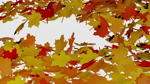Autumn fall leaves on transparent background Stock Footage 218091336