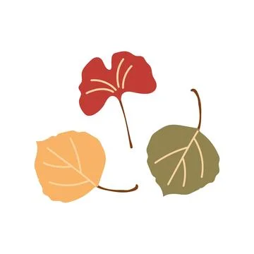 Autumn fall leaves vector elements set for thanksgiving decoration Stock Illustration