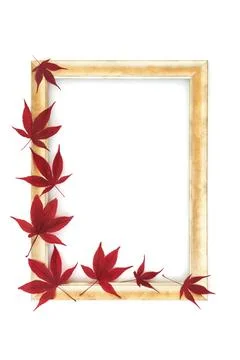 Autumn Fall Maple Leaf Background Border Frame Stock Photos