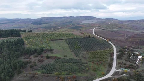 Autumn (fall) over single road Stock Footage 295434034