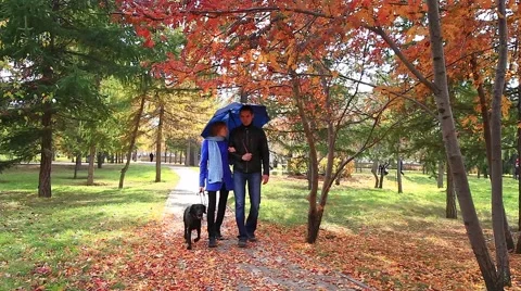In autumn fall park 스톡 동영상 42707126