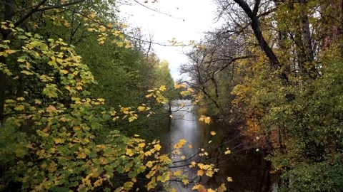 Autumn, fall park Stock Footage 141431693