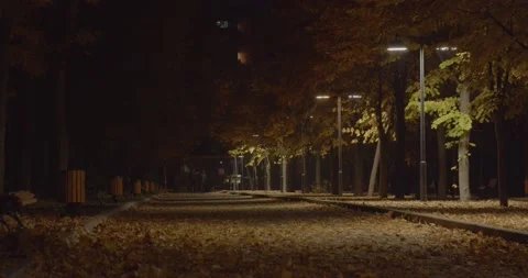 Autumn Fall in Park with yellow trees Stock Footage 163847897