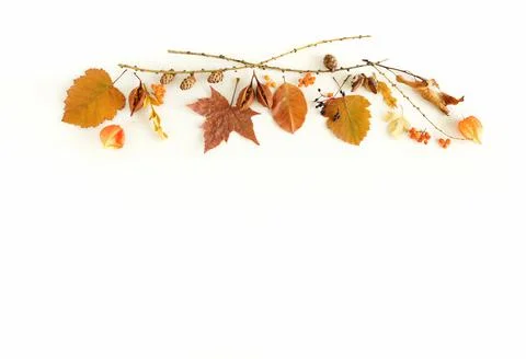 Autumn fall pattern background isolated on white backdrop top view with copy spa Stock Photos
