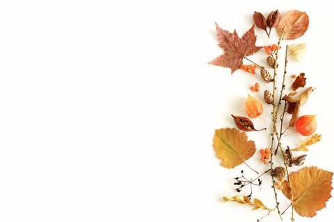Autumn fall pattern background isolated on white backdrop top view with copy spa Stock Photos