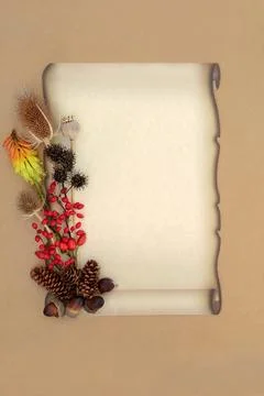 Autumn Fall Red Berries and Flora Retro Background Stock Photos