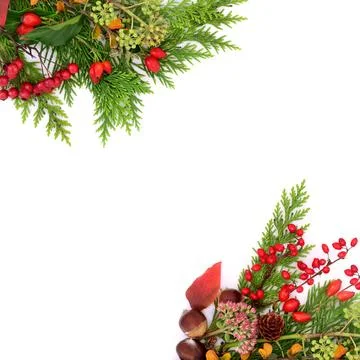 Autumn Fall Red Berry Fruit and Foliage Background Stock Photos