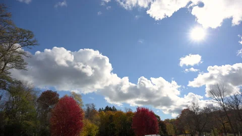 Autumn fall in sky, natural light scene Stock Footage 330983111