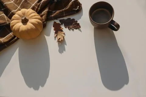 Autumn, fall still life composition with orange pumpkin, dried oak leaves. Cozy Stock Photos
