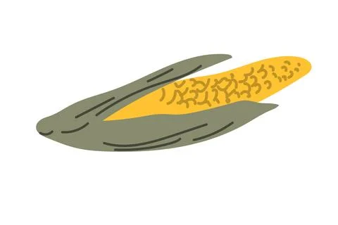 Autumn fall thanksgiving element corn -harvest icon Stock Illustration