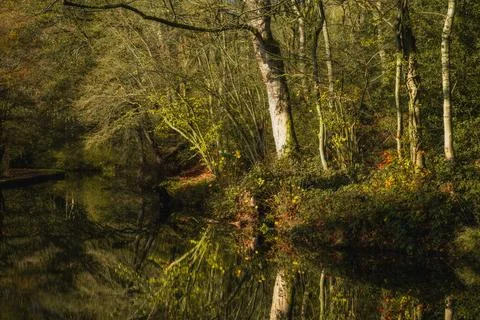 Autumn, fall tree and leaf colours along the Leek branch of the Caldon cana.. Stock Photos