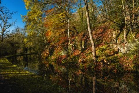 Autumn, fall tree and leaf colours along the Leek branch of the Caldon cana.. Stock Photos