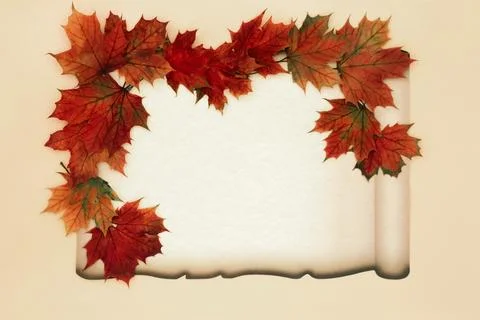 Autumn Fall Vibrant Maple Leaf Colorful Background Stock Photos