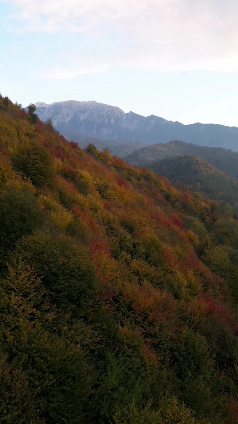 Autumn fall in winter mountain highland countryside of Iran view stone rock Stock Footage 335883601