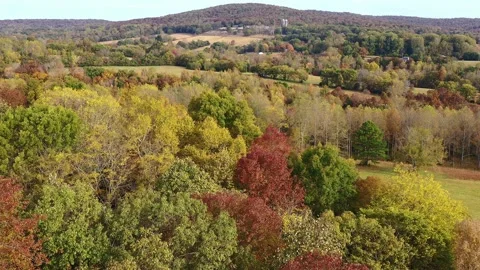 Autumn, fall yellow, orange red colorful trees forest and dairy farm in a mou Stock Footage 219292903