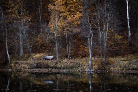 Autumn fallen leaf tree evening forest lake autumn fallen leaf tree evening f Stock Photos