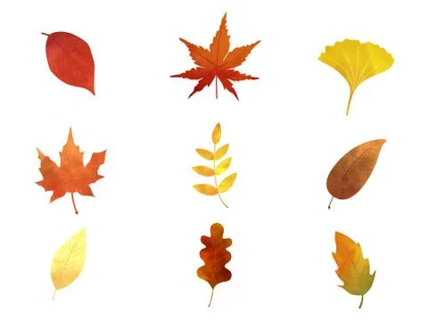 Autumn fallen leaves Stock Illustration