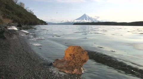 Autumn. The fallen sheet. Video stock 707632