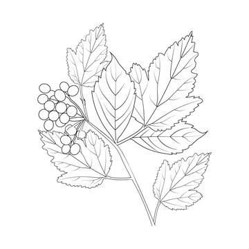 Autumn Falling is beautiful vector art, a coloring book, a page 스톡 일러스트