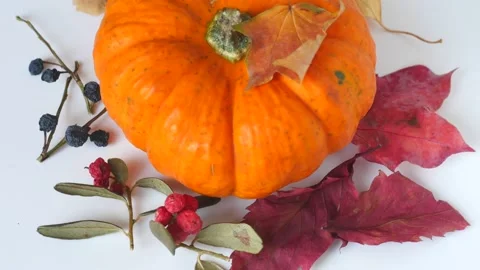 Autumn falling composition of decorative pumpkin and dry leaves Stock Footage 142399140