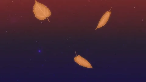 Autumn falling leaves animation loop night sky background Stock Footage 317500369