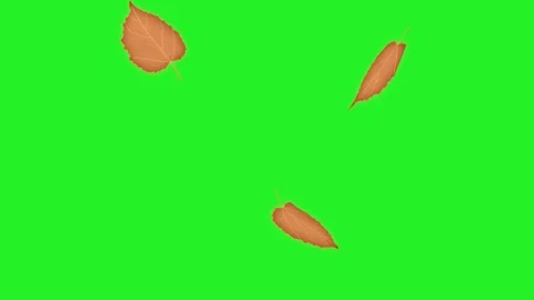 Autumn-Falling-Leaves-Animation-Loop-Green-Screen-Background Stock Footage 317526820
