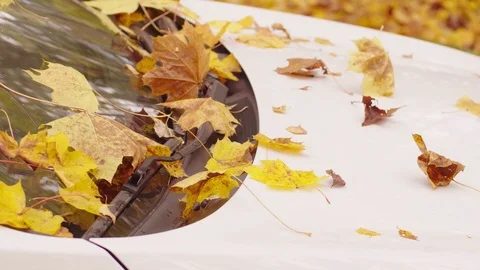 Autumn falling leaves on car windshield Vidéo 117766747