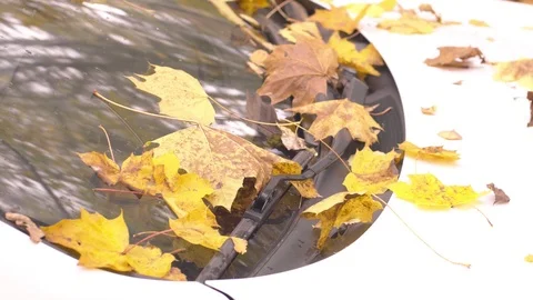 Autumn falling leaves on car windshield 스톡 동영상 118086345