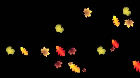 Autumn falling leaves Stock Footage 213026845