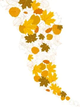 Autumn falling leaves isolated. plus EPS10 Stock Illustration