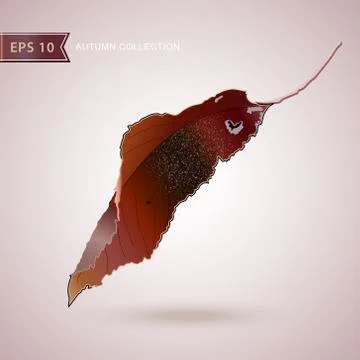 Autumn falling leaves. Leaf fall. Vector illustration. Stock Illustration