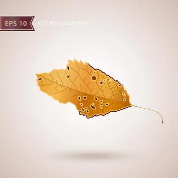 Autumn falling leaves. Leaf fall. Vector illustration. Stock Illustration