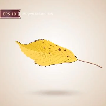 Autumn falling leaves. Leaf fall. Vector illustration. Stock-Illustration