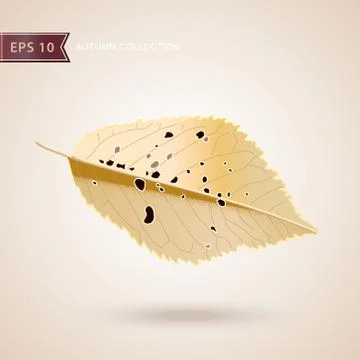 Autumn falling leaves. Leaf fall. Vector illustration. Stock Illustration