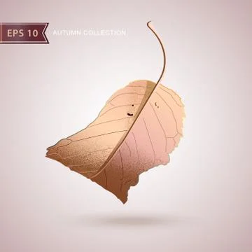 Autumn falling leaves. Leaf fall. Vector illustration. Stock Illustration
