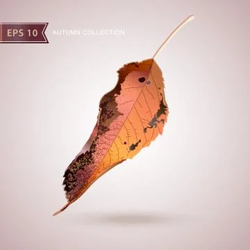 Autumn falling leaves. Leaf fall. Vector illustration. 스톡 일러스트