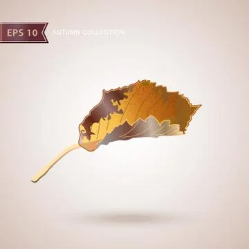 Autumn falling leaves. Leaf fall. Vector illustration. 스톡 일러스트