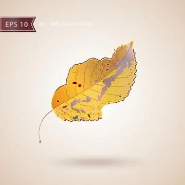 Autumn falling leaves. Leaf fall. Vector illustration. 스톡 일러스트