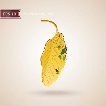 Autumn falling leaves. Leaf fall. Vector illustration. Stock Illustration