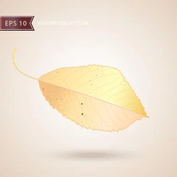 Autumn falling leaves. Leaf fall. Vector illustration. Stock-Illustration