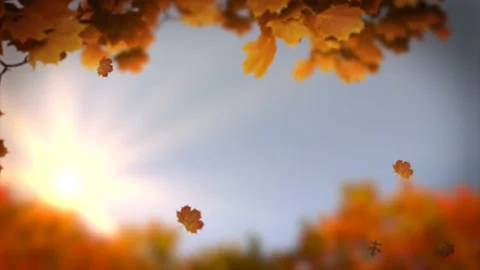 Autumn Falling Leaves Motion Background Vídeo Stock 142612166