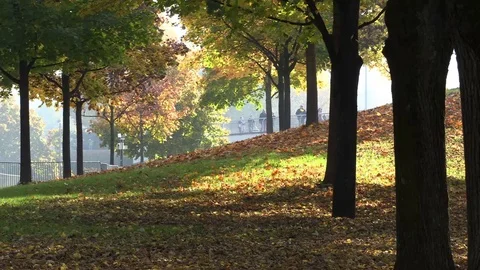 Autumn Falling Leaves in Park Stock Footage 70647800