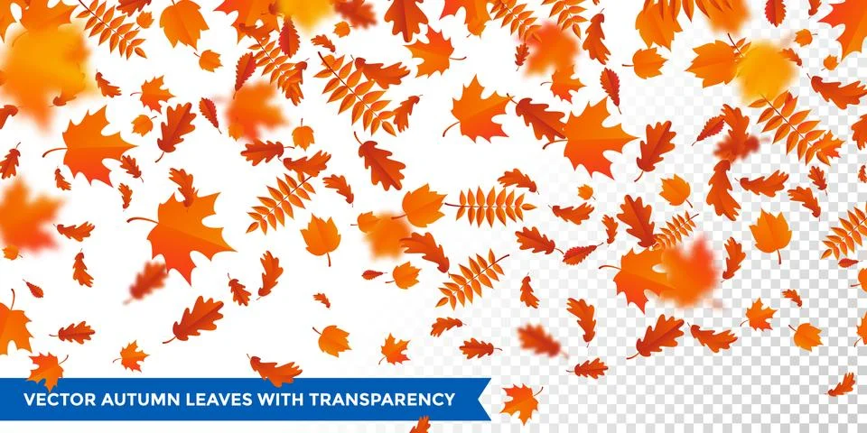 Autumn falling leaves pattern transparent background maple, oak, birch, cestn Stock Illustration