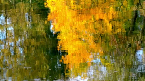Autumn, Falling Leaves. The yellow foliage of trees is reflected in lake water Stock Footage 42389953