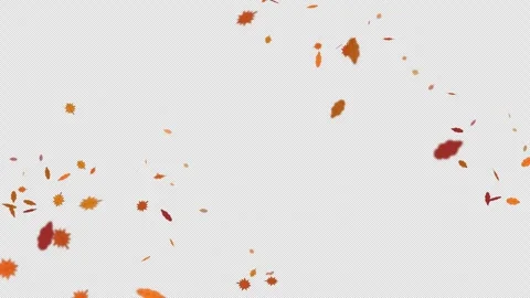 Autumn Falling Maple Leaves Overlay with amber, rust and gold leaves 4K Alpha Vídeo Stock 346126528